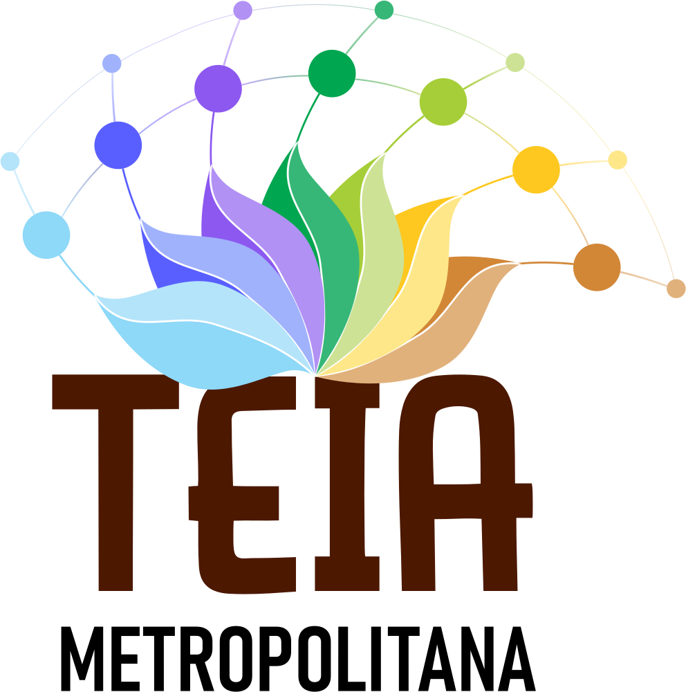 Marca do projeto TEIA Metropolitana